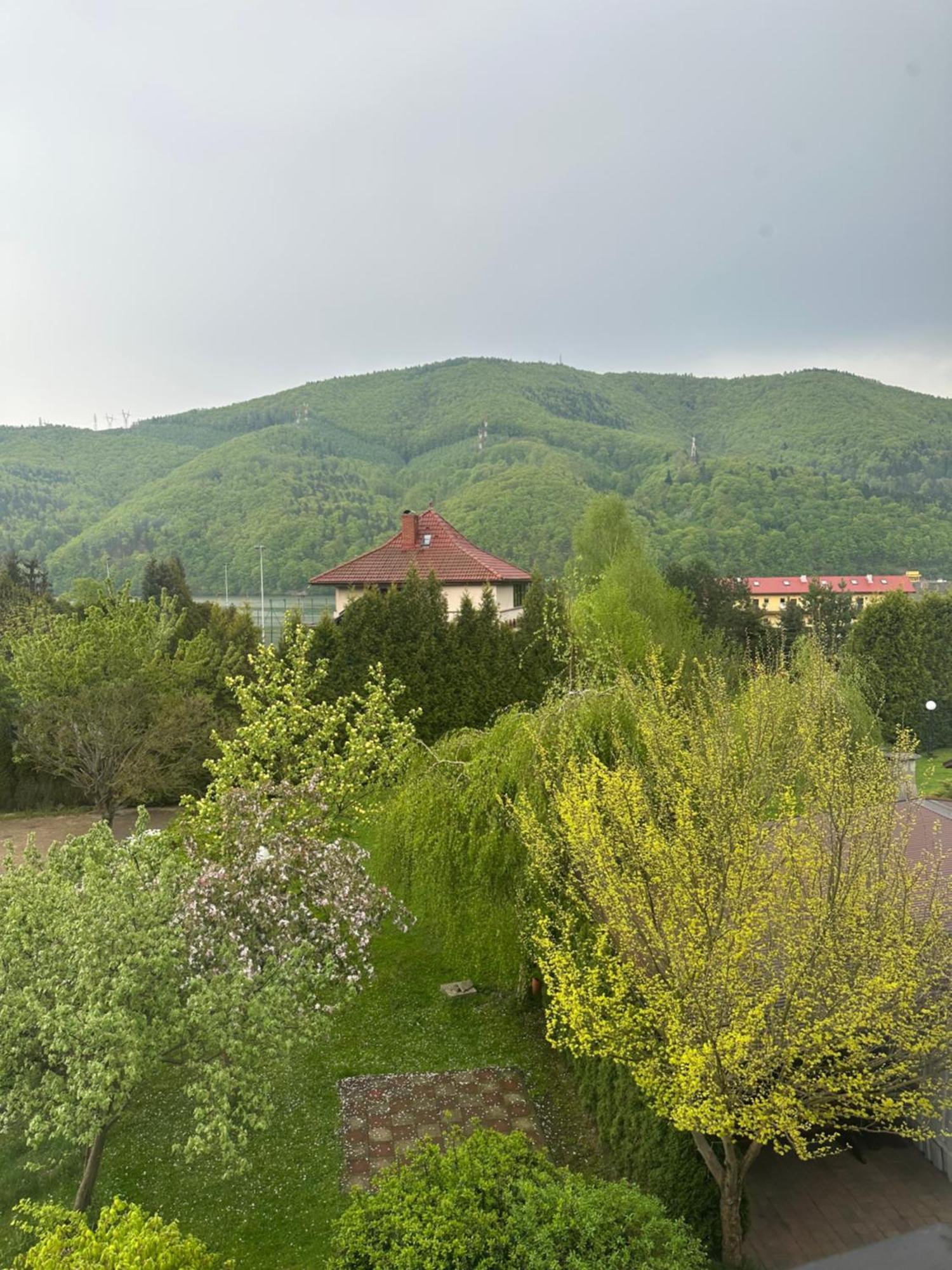 Pokoje Maria Międzybrodzie Bialskie Exterior foto